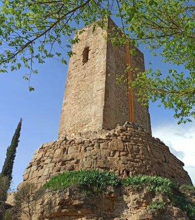 Visita guiada a la Torre d'Ardèvol